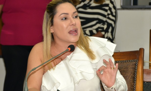 Luana Ribeiro é eleita presidente da Comissão de Segurança Pública da Assembleia pela segunda vez