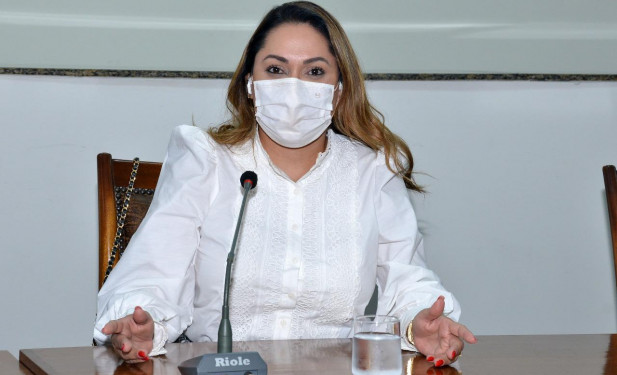 Deputada Luana Ribeiro solicita que sejam asseguradas às progressões da Polícia Civil