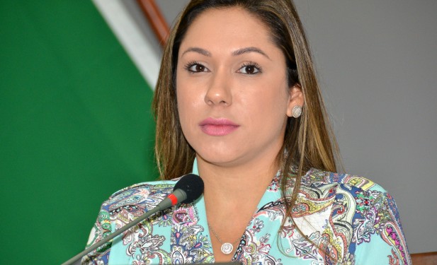 Deputada Luana solicita construção de abatedouro público em Nazaré