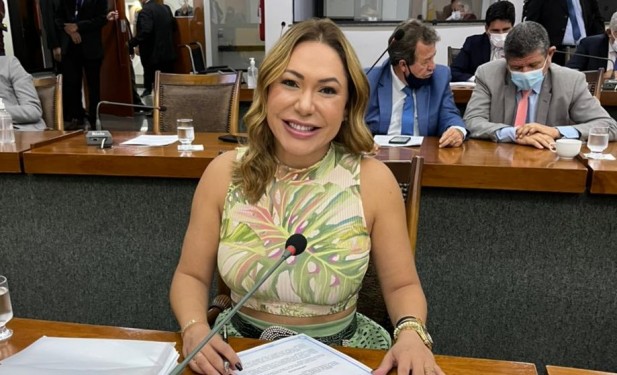 Dez projetos da deputada Luana Ribeiro viram lei no Tocantins