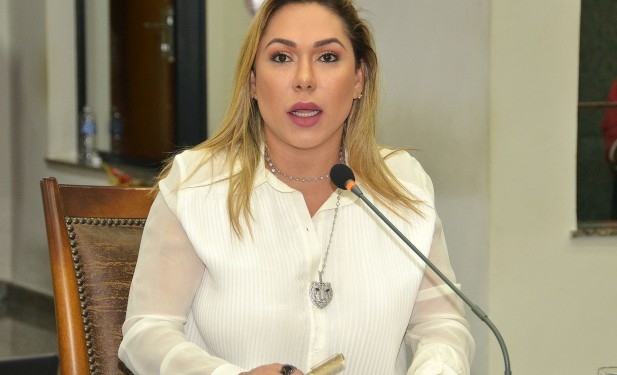 Deputada Luana solicita pavimentação asfáltica para municípios