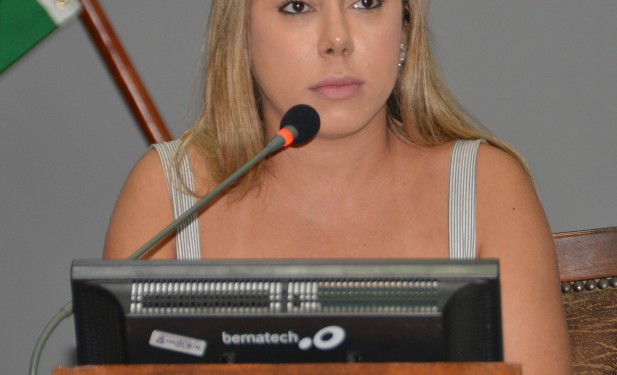 Audiência pública, solicitada pela deputada Luana, para debater saúde é aprovada