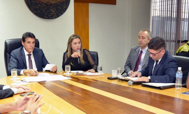 Assembleia discute segurança pública e Luana Ribeiro propõe melhorias