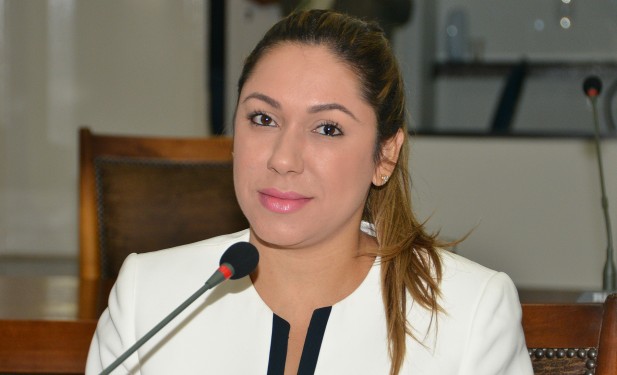 LOA e PPA são aprovados na Assembleia; Luana vota a favor e apresenta emendas