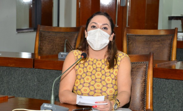 Projeto de Luana Ribeiro determina que Delegacia Virtual registre ocorrências por violência doméstica