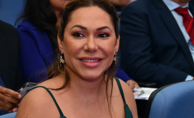 Aprovado nas comissões, projeto de Luana que isenta ICMS na venda de armas de fogo segue para aprovação do plenário